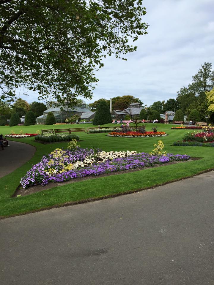 garden