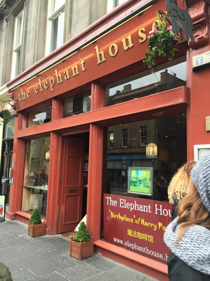 the-elephant-house